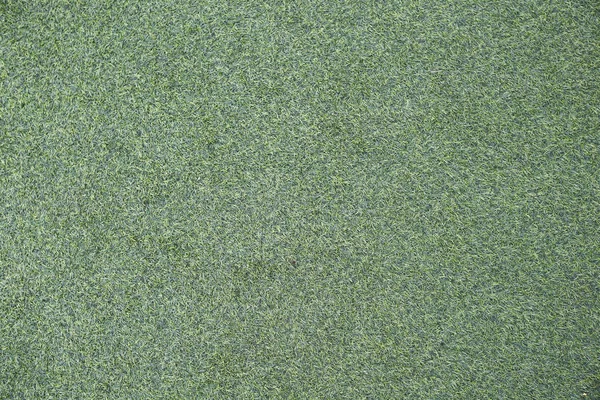 Çayırdan yeşil çimen çalısı