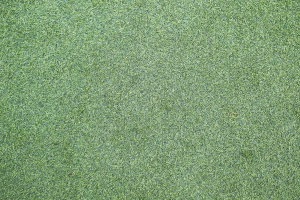 Çayırdan yeşil çimen çalısı