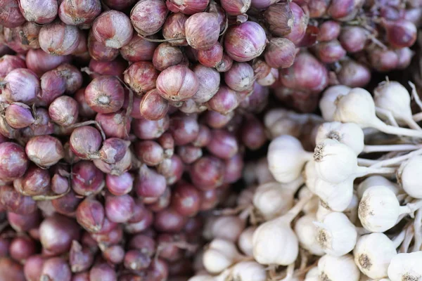 bir grup soğancık soğan