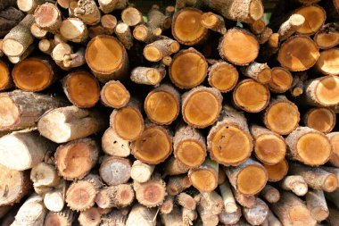 İnşa etmek için odun yığını. 