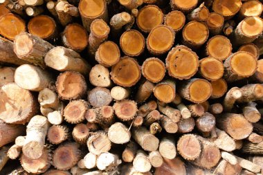 İnşa etmek için odun yığını. 