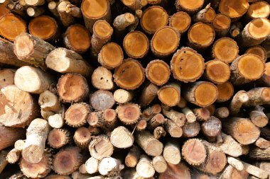 İnşa etmek için odun yığını. 