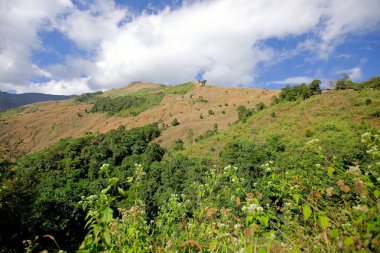 sabah Doi Phu Kha Milli Parkı'Nan, Thailandview en iyi dağ Doi Phu Kha Milli Parkı'nda, Phu biz, yumuşak odak Nan Eyaleti, Tayland, düşük anahtar sis altında dağlarda