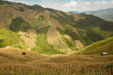 sabah Doi Phu Kha Milli Parkı'Nan, Thailandview en iyi dağ Doi Phu Kha Milli Parkı'nda, Phu biz, yumuşak odak Nan Eyaleti, Tayland, düşük anahtar sis altında dağlarda