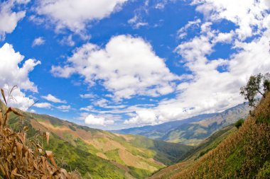 sabah Doi Phu Kha Milli Parkı'Nan, Thailandview en iyi dağ Doi Phu Kha Milli Parkı'nda, Phu biz, yumuşak odak Nan Eyaleti, Tayland, düşük anahtar sis altında dağlarda