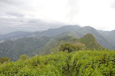 sabah Doi Phu Kha Milli Parkı'Nan, Thailandview en iyi dağ Doi Phu Kha Milli Parkı'nda, Phu biz, yumuşak odak Nan Eyaleti, Tayland, düşük anahtar sis altında dağlarda