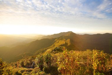 en iyi dağ Doi Phu Kha Milli Parkı'nda, Phu biz, Nan Eyaleti, Tayland, düşük anahtar yumuşak odak görüntüleyin