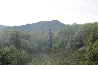 en iyi dağ Doi Phu Kha Milli Parkı'nda, Phu biz, Nan Eyaleti, Tayland, düşük anahtar yumuşak odak görüntüleyin