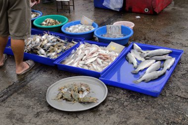 Piyasada taze balık var.