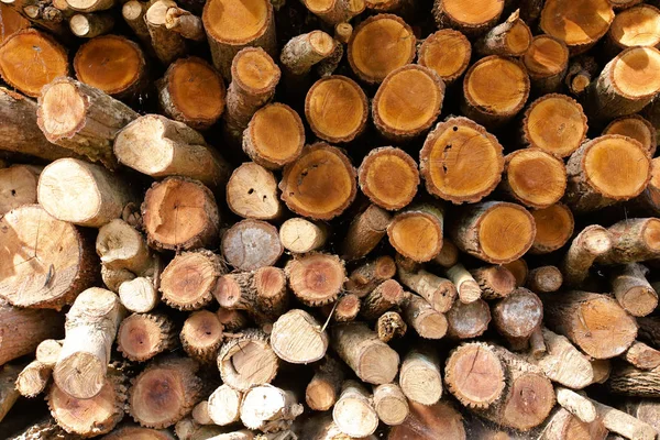 İnşa etmek için odun yığını. 