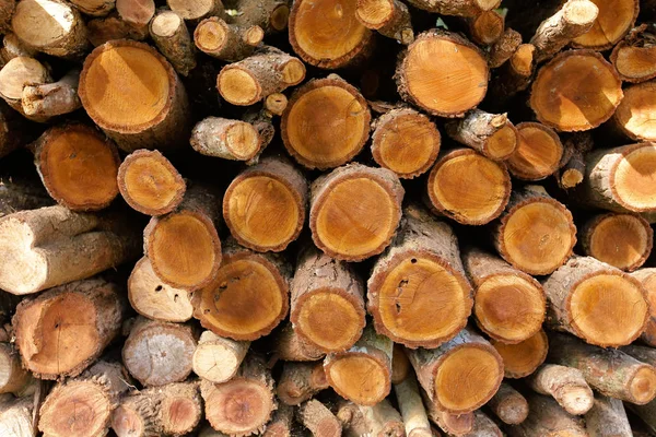 Pile of wood logs for build.