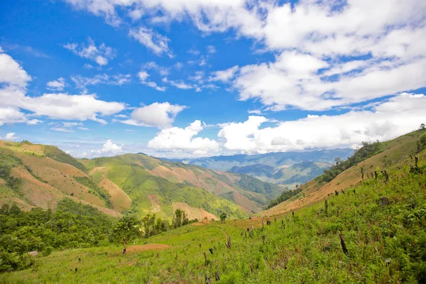 sabah Doi Phu Kha Milli Parkı'Nan, Thailandview en iyi dağ Doi Phu Kha Milli Parkı'nda, Phu biz, yumuşak odak Nan Eyaleti, Tayland, düşük anahtar sis altında dağlarda