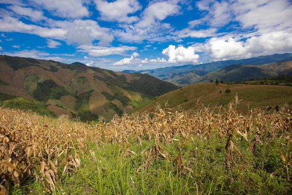 Vista Cima Montaña Parque Nacional Doi Phu Kha Phu Wae —  Fotos de Stock