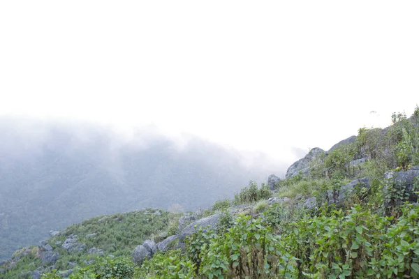 산에도 Kha 소프트 포커스와 Nan — 스톡 사진