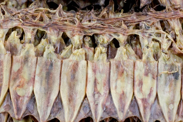 Calamares Secos Hilera Calamares Tradicionales Secándose Calamares Parrilla Mercado Tailandés — Foto de Stock