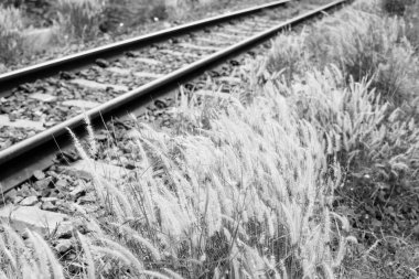 Tren geçerken bir satýr kırsal Tayland.