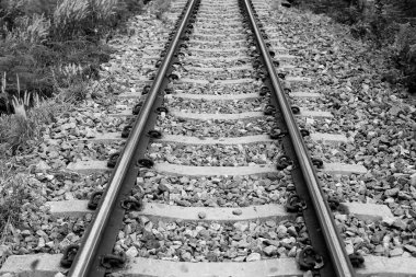 Tren geçerken bir satýr kırsal Tayland.