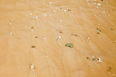 Deniz plaj kum doku ve arka plan için yakın çekim