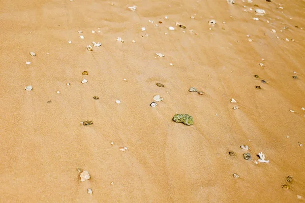 Deniz plaj kum doku ve arka plan için yakın çekim