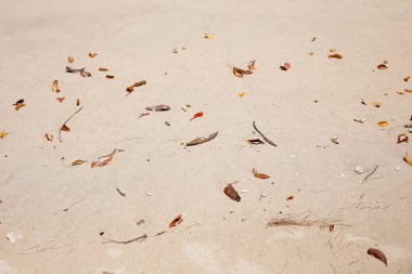 Deniz plaj kum doku ve arka plan için yakın çekim