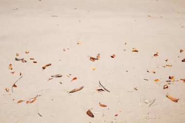 Deniz plaj kum doku ve arka plan için yakın çekim