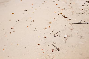 Deniz plaj kum doku ve arka plan için yakın çekim