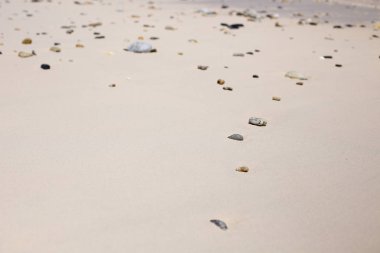 Deniz plaj kum doku ve arka plan için yakın çekim