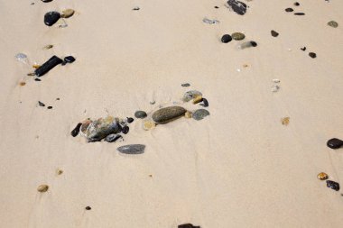 Deniz plaj kum doku ve arka plan için yakın çekim