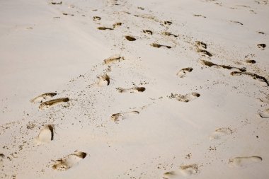 Deniz plaj kum doku ve arka plan için yakın çekim