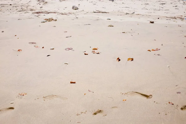Κοντινό Πλάνο Θάλασσα Άμμο Παραλιών Για Υφή Και Φόντο — Φωτογραφία Αρχείου