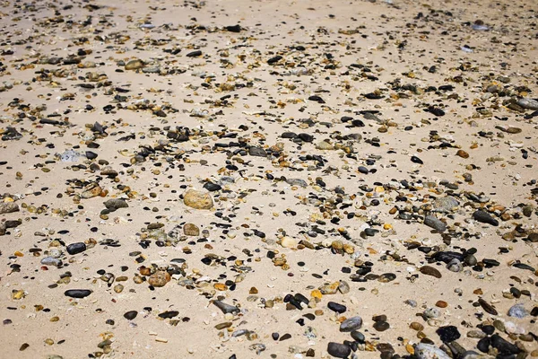 Deniz plaj kum doku ve arka plan için yakın çekim