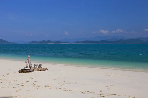 Lord Loughbolough Lsland Avec Plage Sable Blanc Île Sea Dragon — Photo