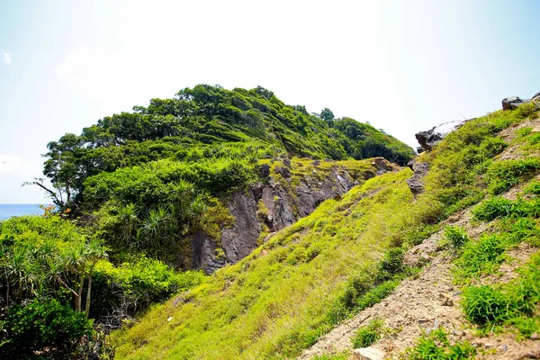 拉夫博勒勋爵岛 主天堂岛 鲨鱼鳍湾景观点 — 图库照片