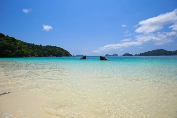 Lord Loughbolough Lsland Avec Plage Sable Blanc Île Sea Dragon — Photo