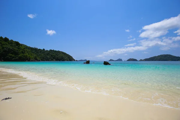 Lord Loughbolough Lsland Avec Plage Sable Blanc Île Sea Dragon — Photo