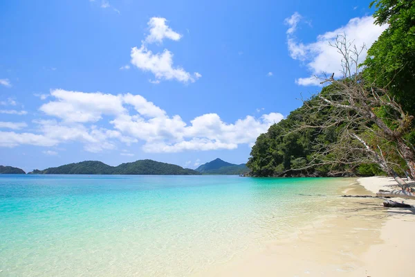 Lord Loughbolough Lsland Avec Plage Sable Blanc Île Sea Dragon — Photo