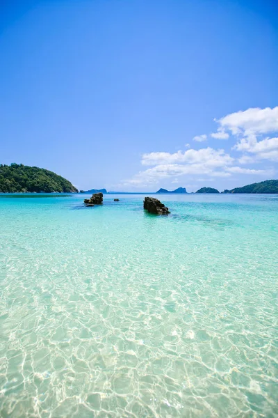 Lord Loughbolough Lsland Avec Plage Sable Blanc Île Sea Dragon — Photo