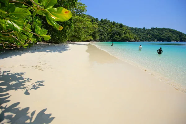 Lord Loughbolough Lsland Avec Plage Sable Blanc Île Sea Dragon — Photo