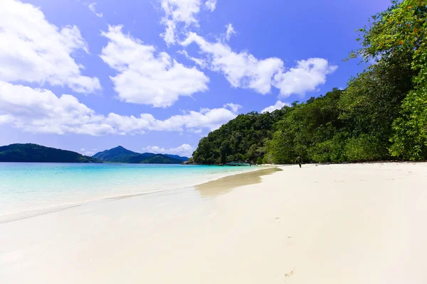 Lord Loughbolough Lsland Avec Plage Sable Blanc Île Sea Dragon — Photo