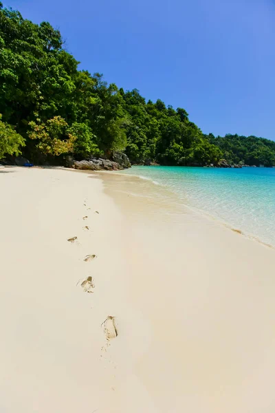 Lord Loughbolough Lsland Mit Weißem Sandstrand Oder Meerdracheninsel Myanmar — Stockfoto