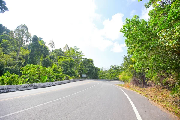 Uma Estrada Curvilínea Árvore Verde Fresca — Fotografia de Stock