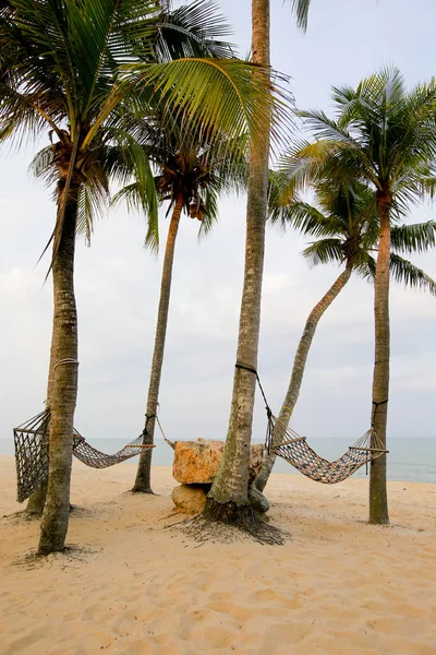 Palms Sand Beach Sunset — Stock Photo, Image