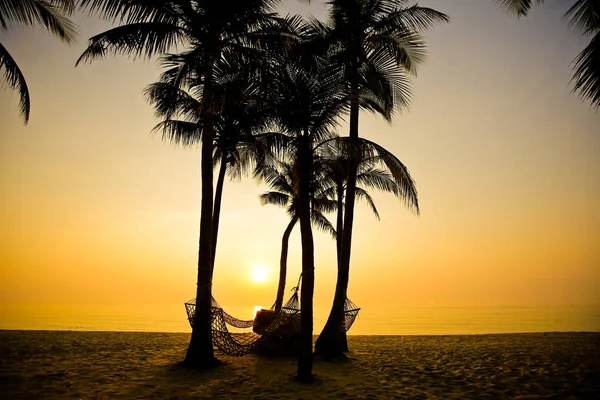 Palmas Praia Areia Pôr Sol — Fotografia de Stock