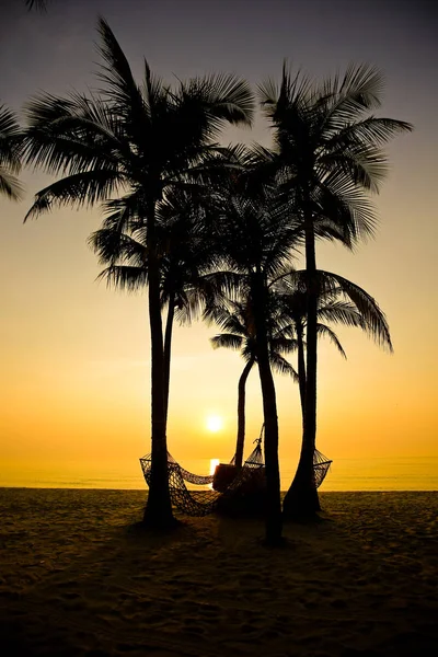 Palmiers Sur Plage Sable Coucher Soleil — Photo