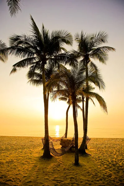 Palmas Praia Areia Pôr Sol — Fotografia de Stock