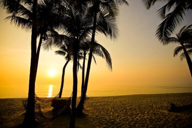 Gün batımında kumsalda palmiyeler
