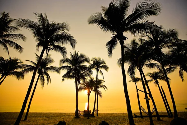 Palmas Praia Areia Pôr Sol — Fotografia de Stock