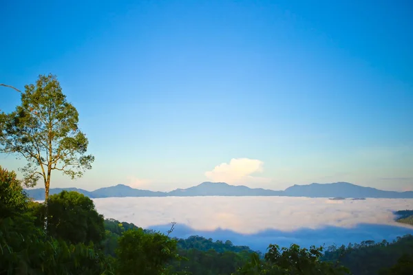 Morgennebel Tropischen Gebirge Dieser Ort Liegt Kaeng Krachan Nationalpark Thailand — Stockfoto