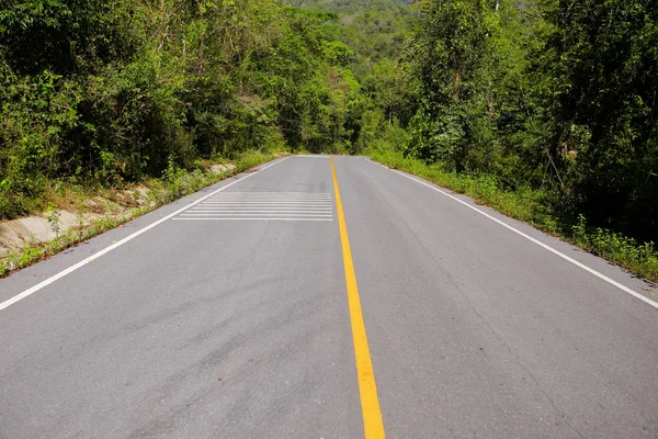 Curvy Road Fresh Green Tree — Stock Photo, Image