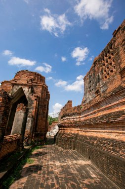 Gün batımında çimen tarlası